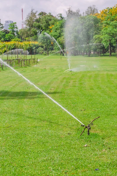 Arrosage dans un champ d'herbe verte — Photo