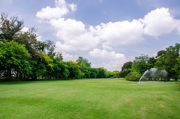 Arrosage dans un champ d'herbe verte — Photo