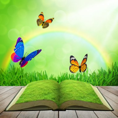 ahşap plakalar kat yeşil arka plana sahip