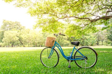 bicycle in green park clipart