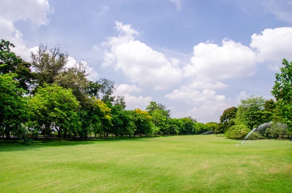 Watering in green grass field — Stock Photo, Image