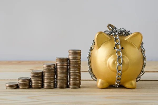 Saving plan with Gold Piggy bank — Stock Photo, Image