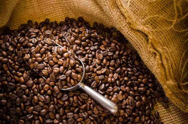 Жареный кофе в зернах — стоковое фото