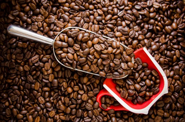 Grains de café torréfiés avec tasse rouge — Photo