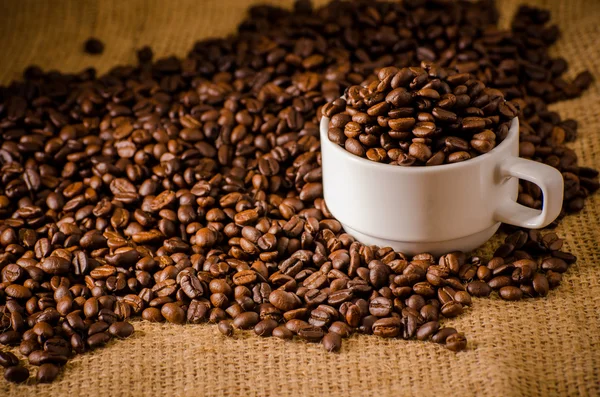 Kahvikuppi ja kahvipapuja ympärillä — kuvapankkivalokuva