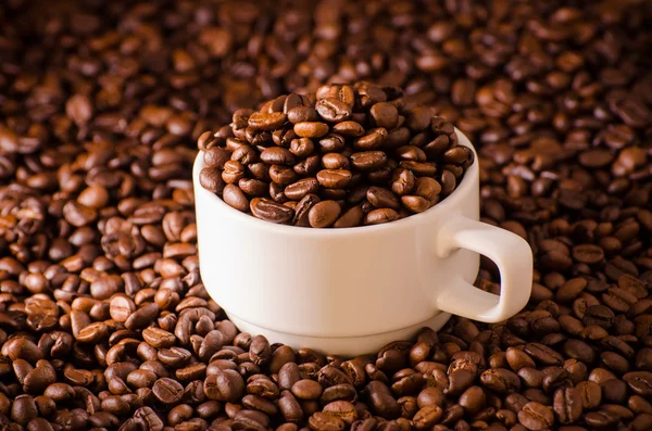 Coffee cup and coffee beans around — Stock Photo, Image