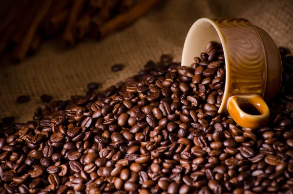 Roasted coffee beans and a cup — Stock Photo, Image