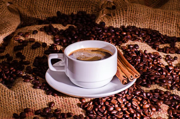 Beyaz kahve fincanı ve kahve çekirdekleri çevresinde — Stok fotoğraf