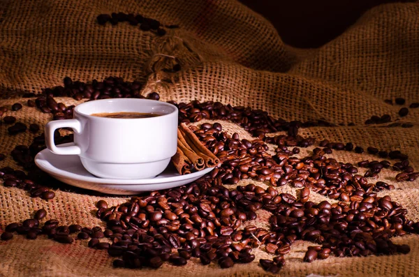 Белая чашка кофе и кофейные зерна вокруг — стоковое фото
