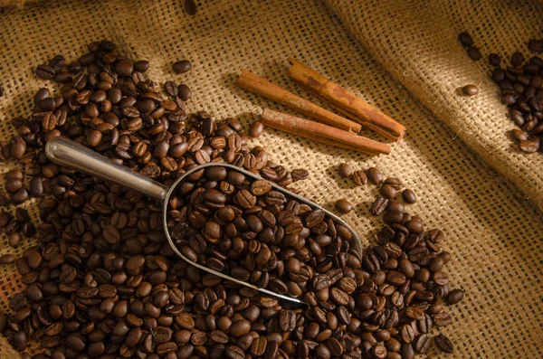 Roasted coffee beans — Stock Photo, Image