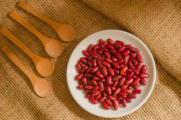 Beans in white dish — Stock Photo, Image