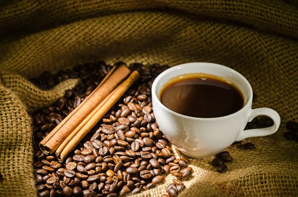 Белая чашка кофе и кофейные зерна вокруг — стоковое фото