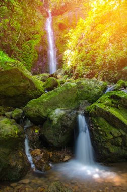 Güzel derin orman şelale Nakornnayok, Tayland