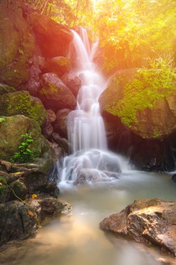 Beautiful Deep Forest waterfall in Nakornnayok, Thailand