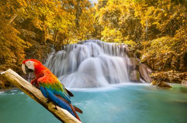 derin orman şelale, huay mae khamin, kanchanaburi, Tayland