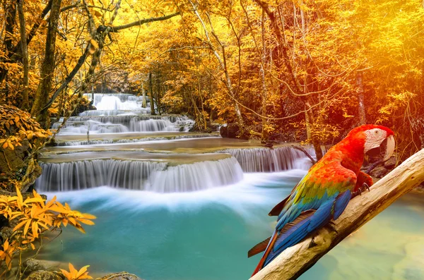 Cascada del bosque profundo, Huay Mae Khamin, Kanchanaburi, Tailandia — Foto de Stock