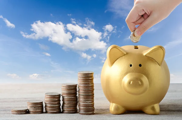 Put coin into gold piggy bank , saving plan — Stock Photo, Image