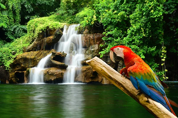 Artificial waterfall — Stock Image Artificial waterfall Stock Photo