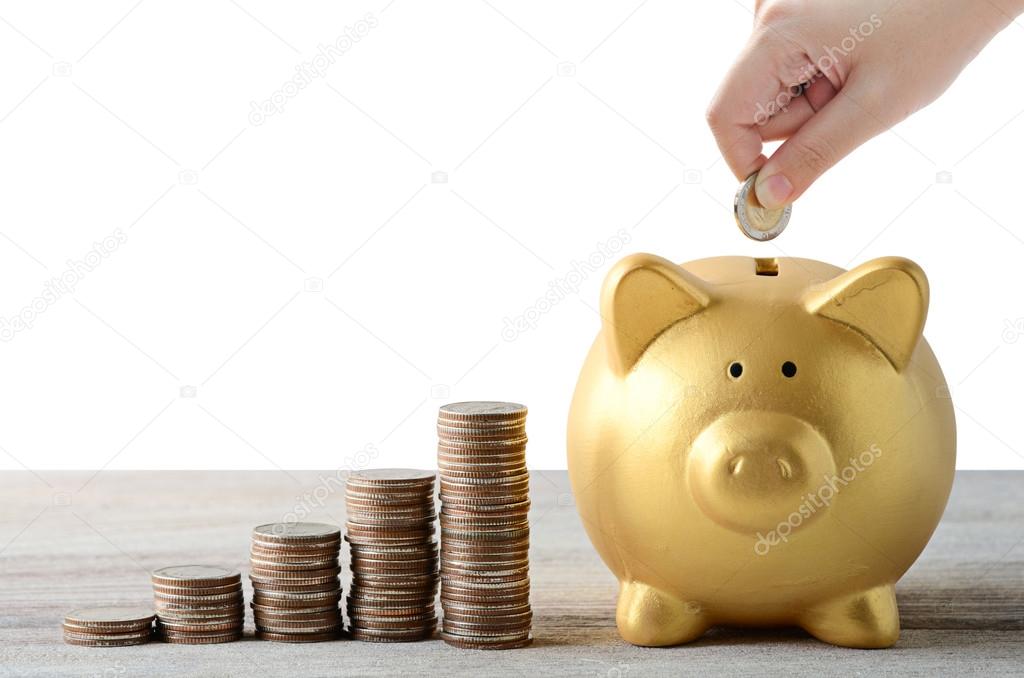 put coin into gold piggy bank , saving plan isolated on white ba