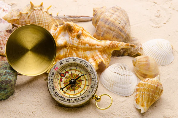 Compass and sea shells on sand — Stock Photo, Image