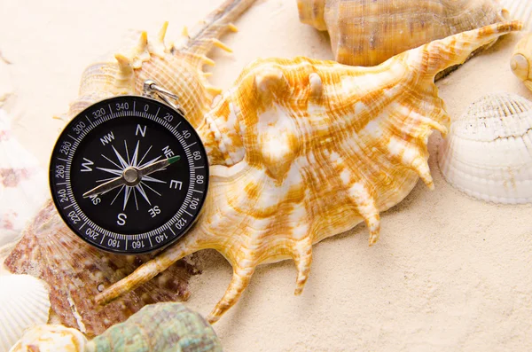 Compass and sea shells on sand — Stock Photo, Image