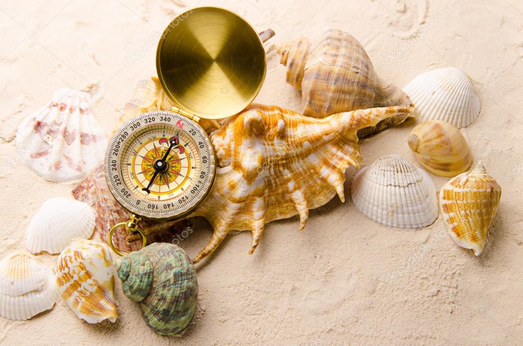 compass and sea shells on sand