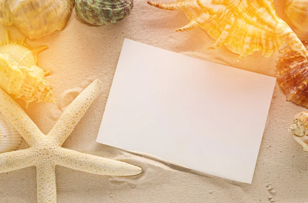 Empty white photo frame on sea shell sand background — Stock Photo, Image