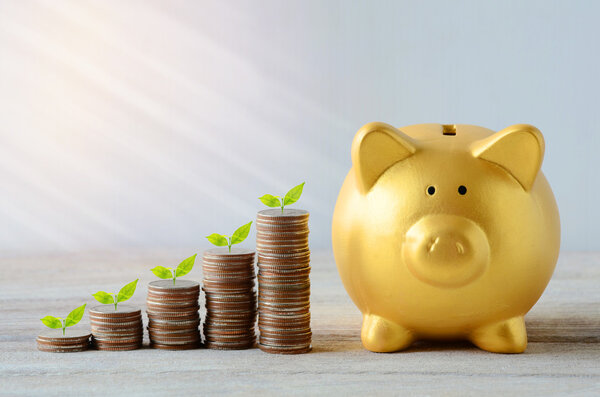 Сберегательный план с Gold Piggy Bank
