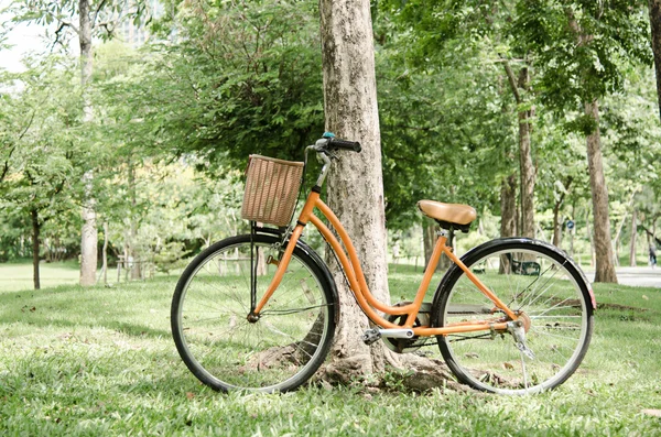 Велосипед в зеленом парке — стоковое фото
