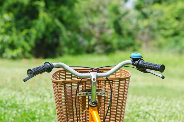 緑豊かな公園で自転車 — ストック写真