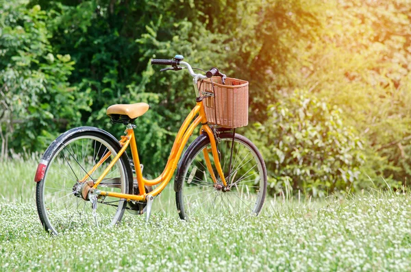 Cykel i grøn park - Stock-foto