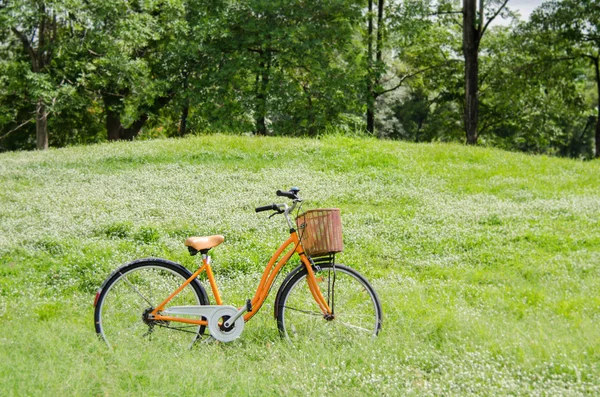 Bicycle in green park — Stock Photo, Image