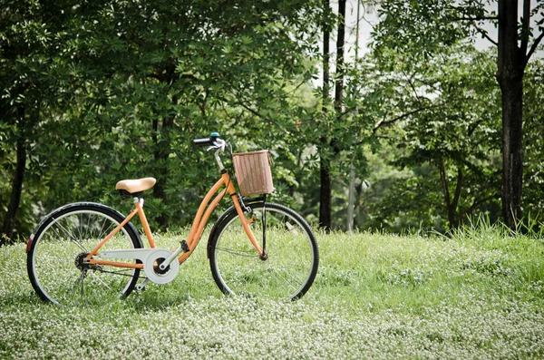 Bicicleta no parque verde — Fotografia de Stock