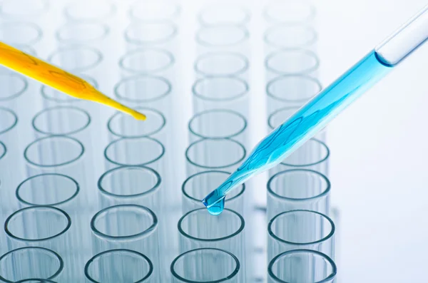 Science laboratory pipette with drop on test tube background , l — Stock Photo, Image