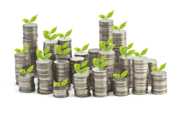 Yığın sikkeler, büyüyen planı kaydetme