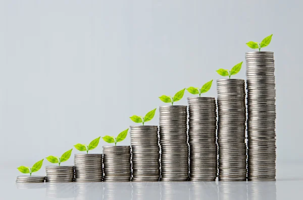 Growing Stack of coins , Saving plan — Stock Photo, Image