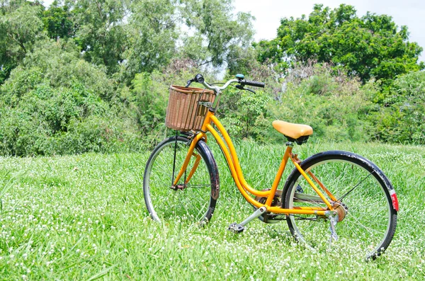 Fahrrad im grünen Park — Stockfoto