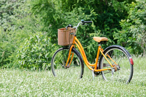 Bicycle in green park — Stock Photo, Image