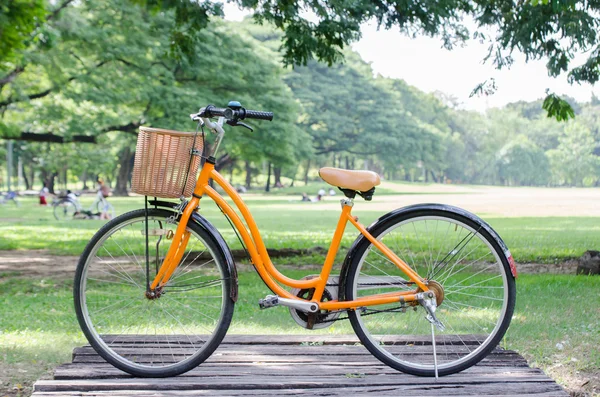 緑豊かな公園で自転車 — ストック写真