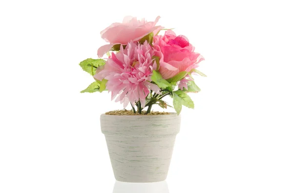 Artificial flower pot isolated on white background — Stock Photo, Image