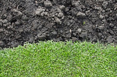 arka plan için yeşil çim Ajan siyah toprak