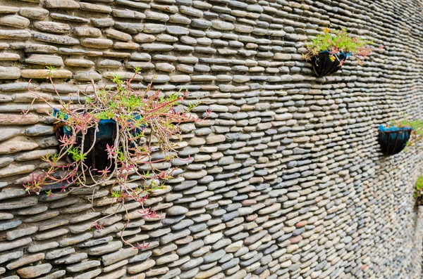 Stone wall with Rosemoss flower pot on it — Stock Photo, Image