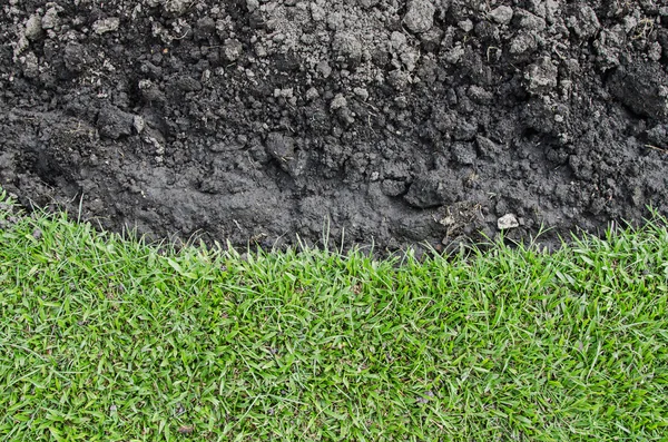 Grünes Gras Agent schwarze Erde für Hintergrund — Stockfoto