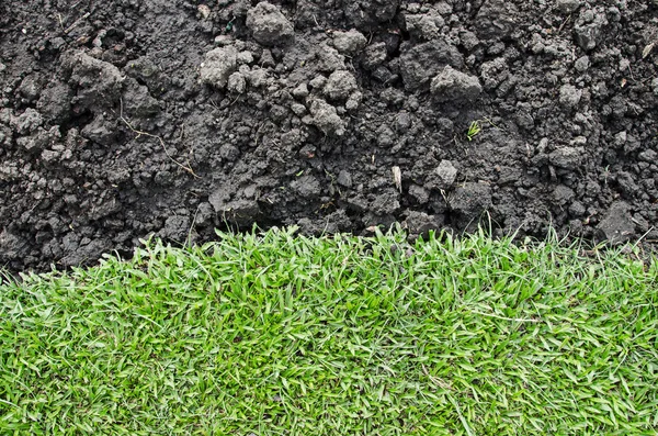 Green grass agent black soil for background — Stock Photo, Image