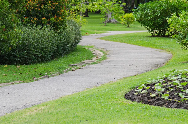 Stone pathway in garden — Stock Photo, Image