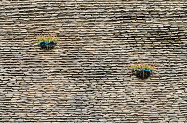 Pared de piedra con maceta de Rosemoss en ella — Foto de Stock