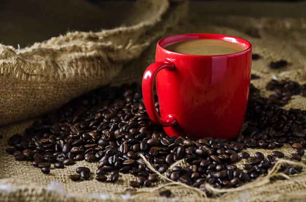 Xícara de café e grãos de café ao redor — Fotografia de Stock