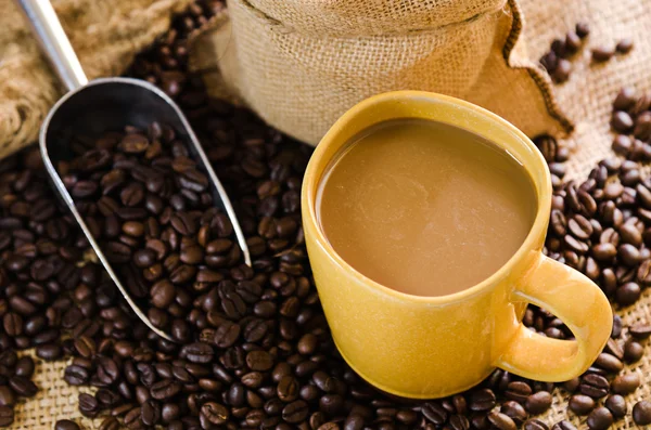 Kahve ve kahve çekirdekleri çevresinde — Stok fotoğraf