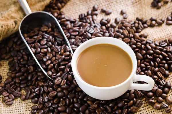 Šálek kávy zrnkové kávy a okolí — Stock fotografie