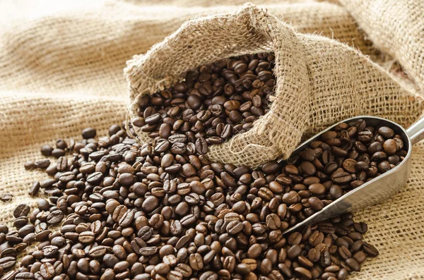 Roasted coffee beans with burlap sack and scoop — Stock Photo, Image